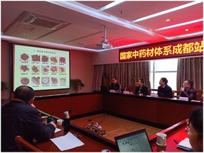 四川省農(nóng)業(yè)科學(xué)院 國家中藥材體系成都試驗(yàn)站川芎育種與栽培技術(shù)研討會成功舉行