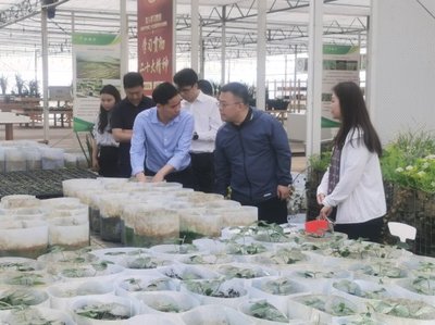 深入調(diào)研謀發(fā)展 院地合作促振興——花溪區(qū)委常委、組織部部長(zhǎng)張楠一行蒞臨我院調(diào)研座談